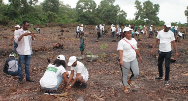 Reboisement de la forêt classée de Sèmè-Podji: La Société générale Bénin met en terre 6100 plants
