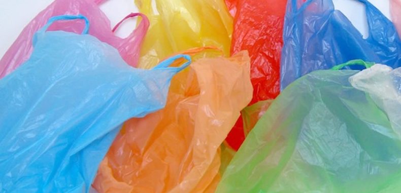 Interdiction des sachets plastiques non biodégradables: L’inaction cautionne un marché de dupes