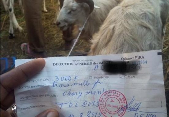 Fête de la Tabaski : 3000 F pour taxe de chargement de moutons