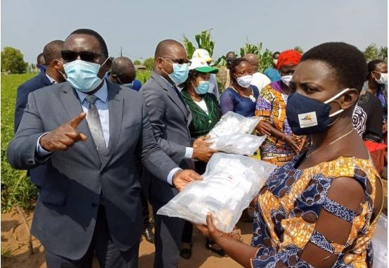 Coronavirus et maraîchage au Bénin: Le gouvernement au secours des maraîchers affectés