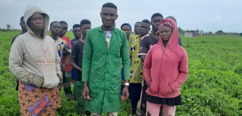 Bénin/Production en vue de 300 tonnes environ de tomate sur le site de la coopérative Agro Révolution à Sèmè-Podji : Le promoteur Issac AGBANOU s’en réjouit et dévoile sa technique