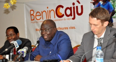 Financement de la filière anacarde: Bénin Cajù échange avec les professionnels de la banque
