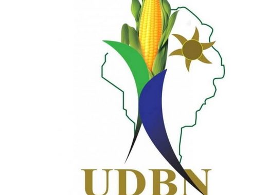 Campagne pour la présidentielle 2021 Le programme de l’UDBN pour ce mardi